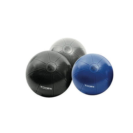 Toorx Gym Ball Pro Blu - Diametro 55 cm